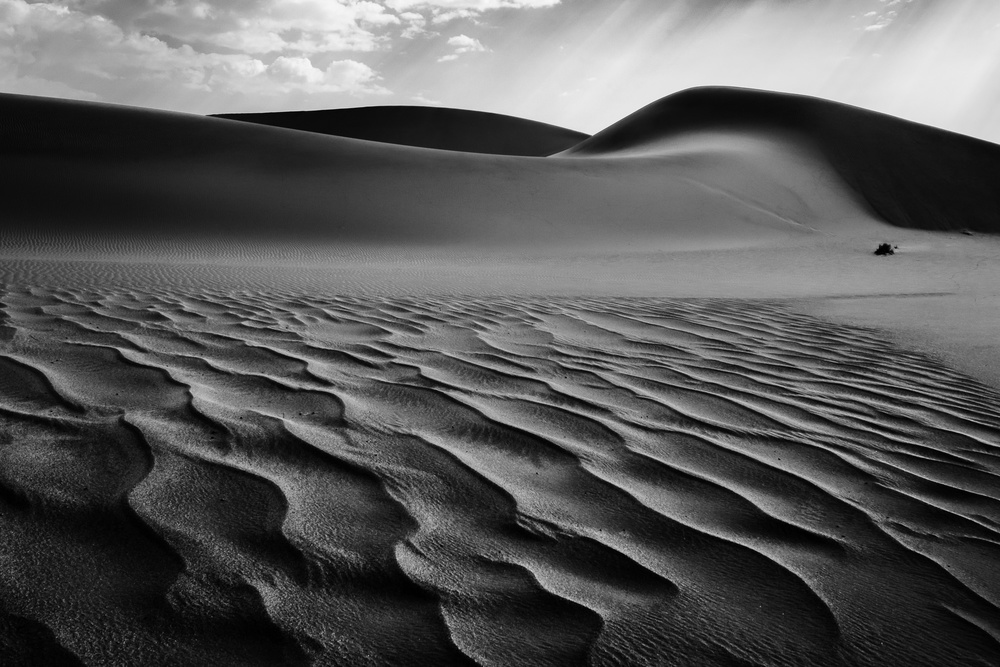 The Living Dunes, Namibia I von Neville Jones