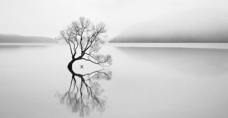 Serenity von Neville Jones