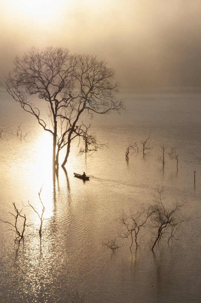 Morning on the lake von Ngo Trung Dung