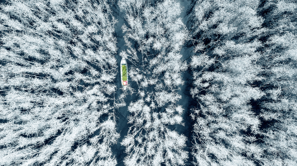 Rừng Tràm von Nguyen Tan Tuan