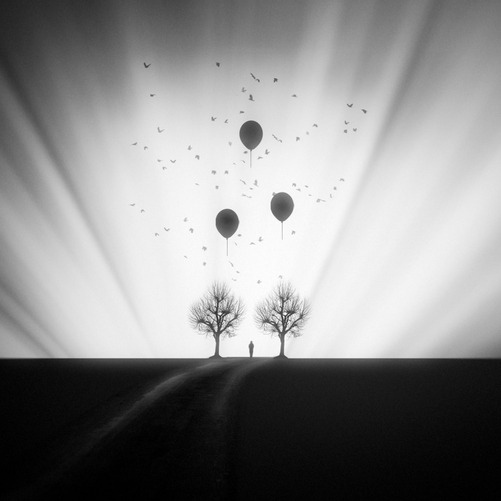 wonderful view von Nic Keller