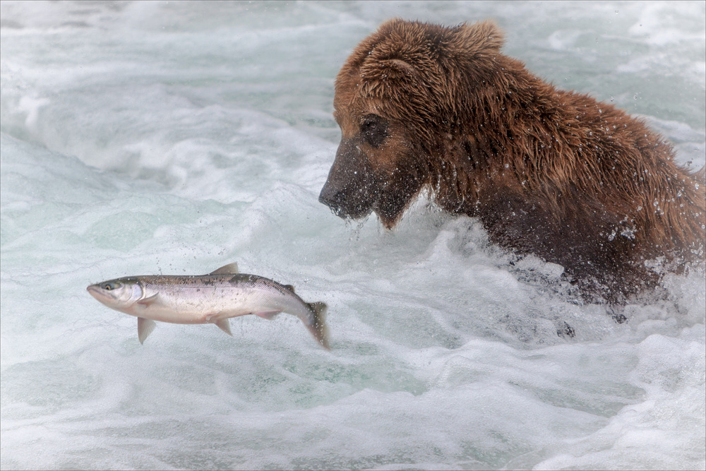 Catch me if you can...  :) von Nick Kalathas