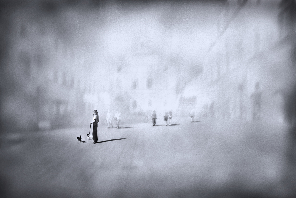 Walk with puppies von Nicodemo Quaglia