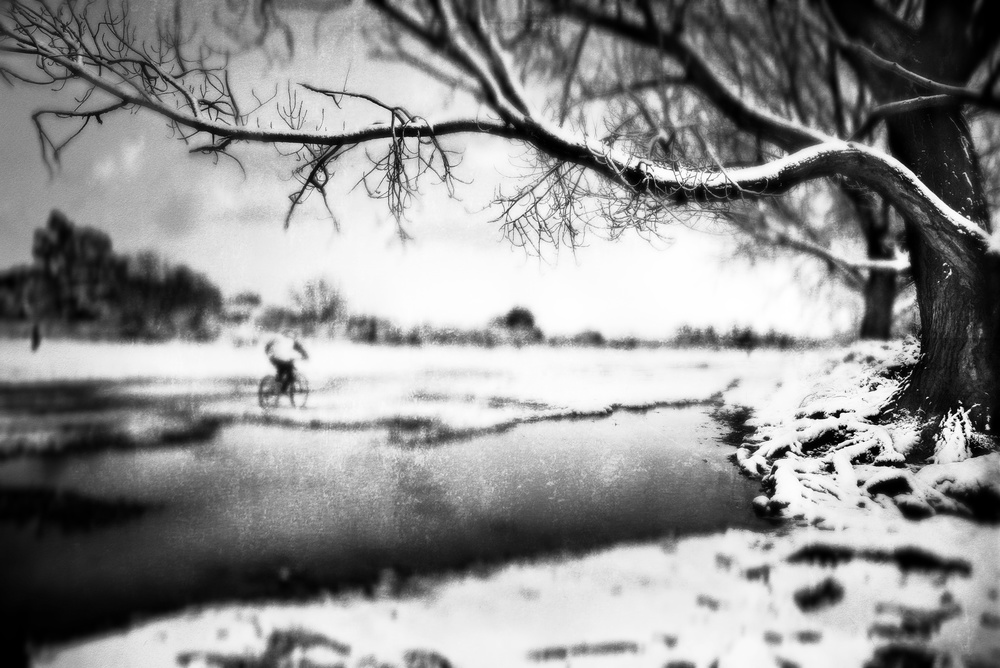 Snow in the park von Nicodemo Quaglia