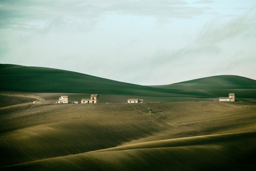 Terra Madre von Nicola Figliuolo