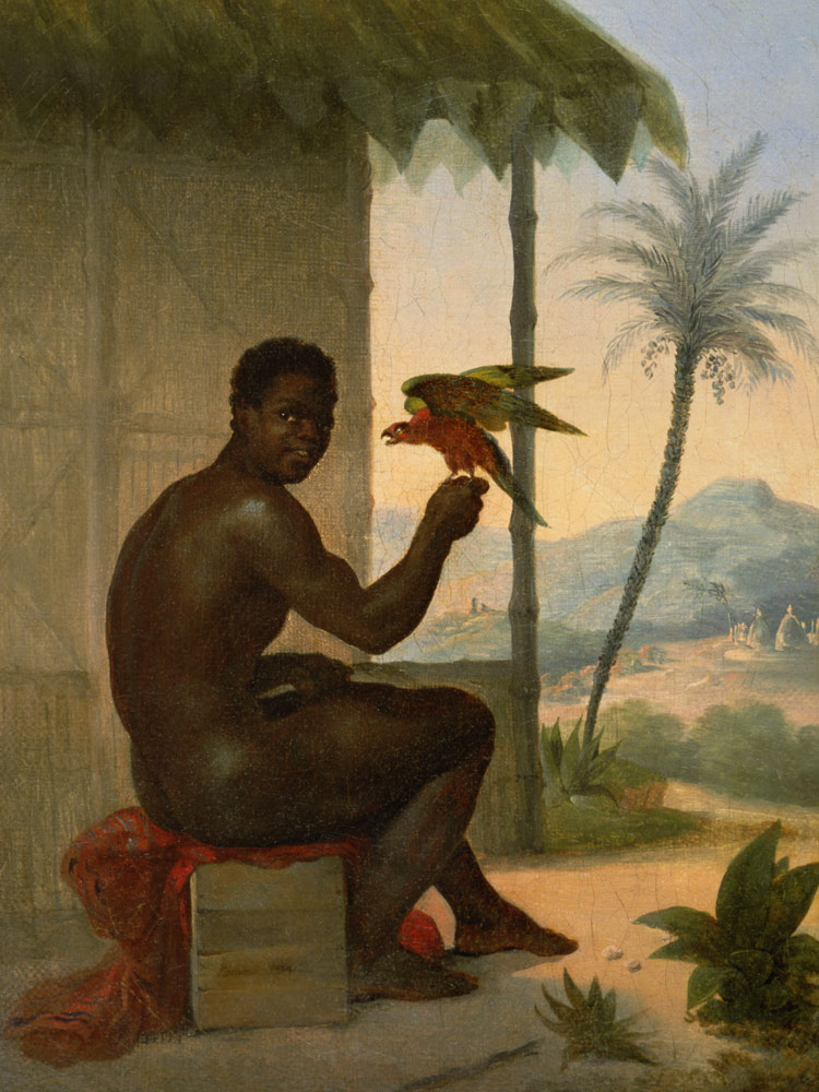 Brazilian boy with Tropical Bird von Nicolas Antoine Taunay