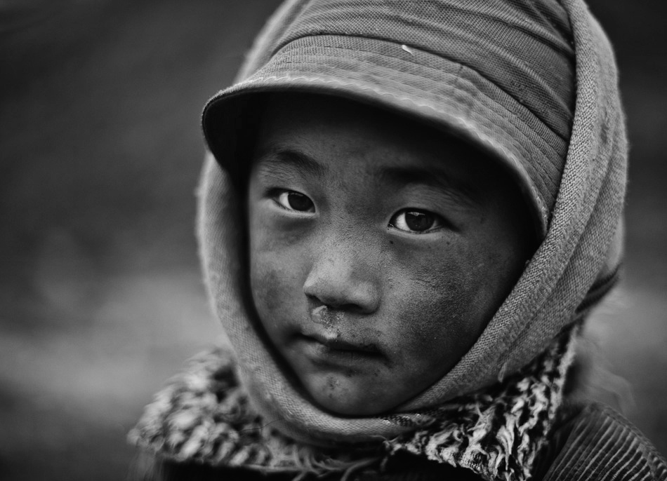 Out in the cold von Nicolas Marino