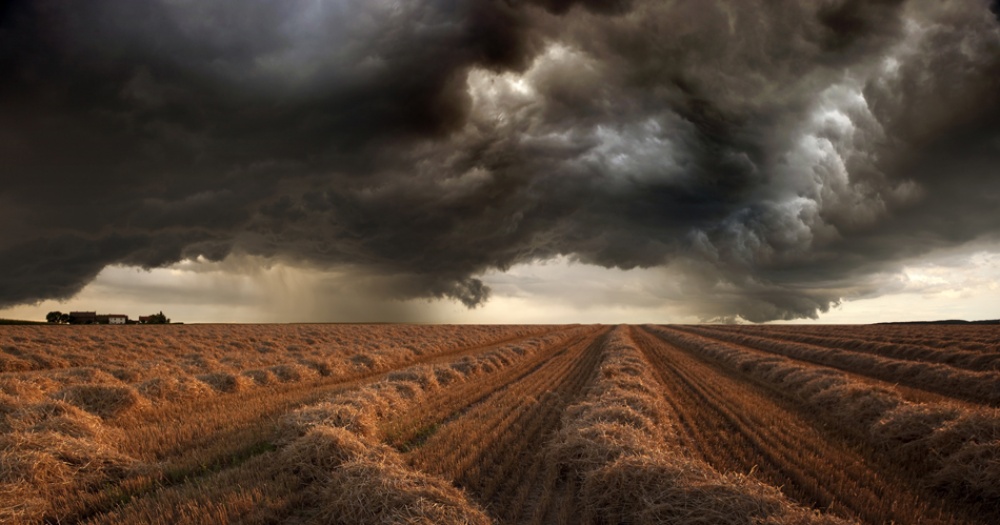 untitledl von Nicolas Schumacher