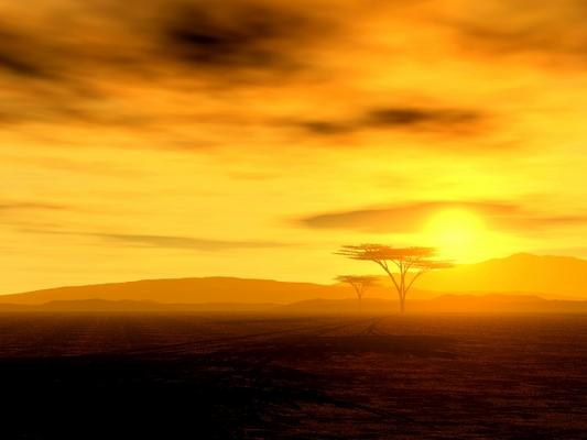 African Spirit - Die Weite von Nicole Desirée Kühl