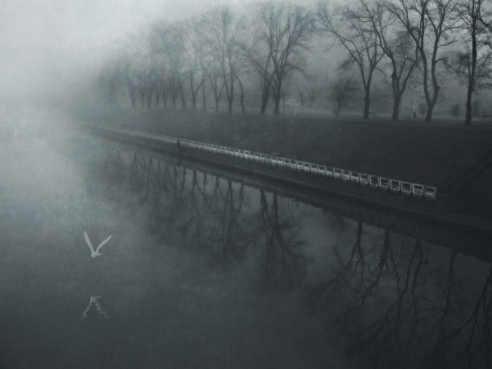 days of mist von Nicoleta Gabor