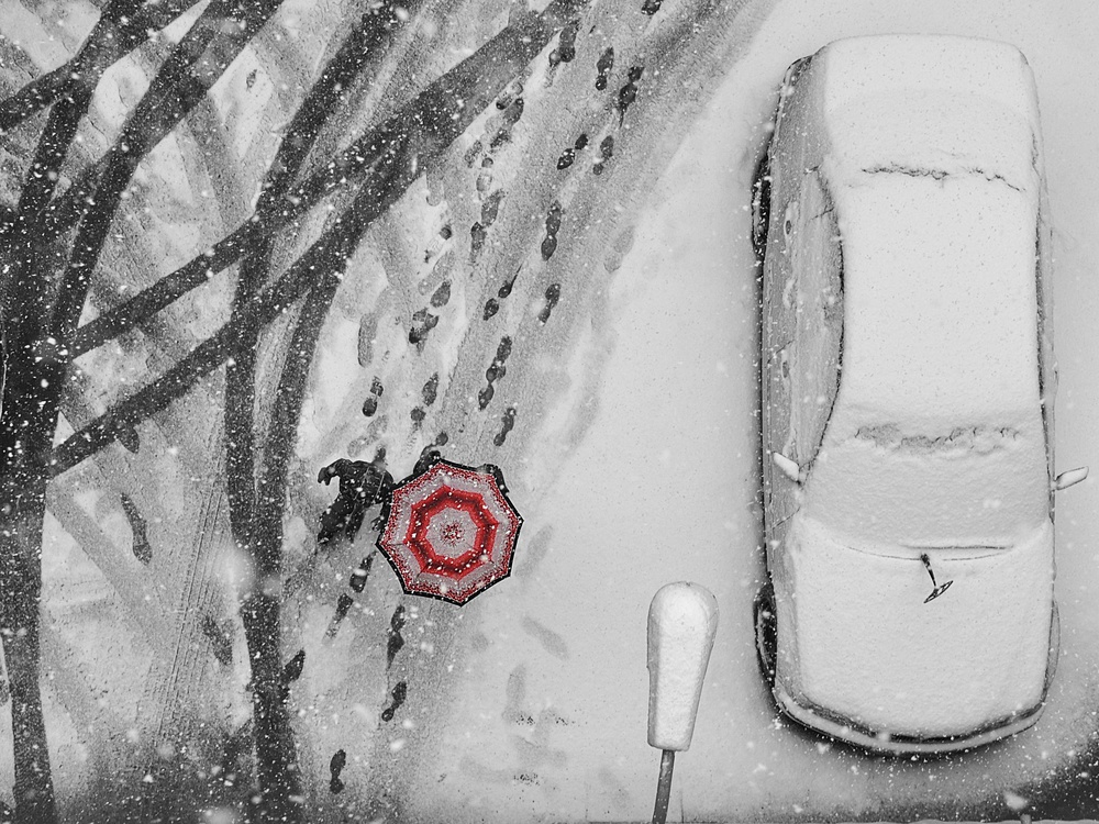 winter passengers von Nicoleta Gabor