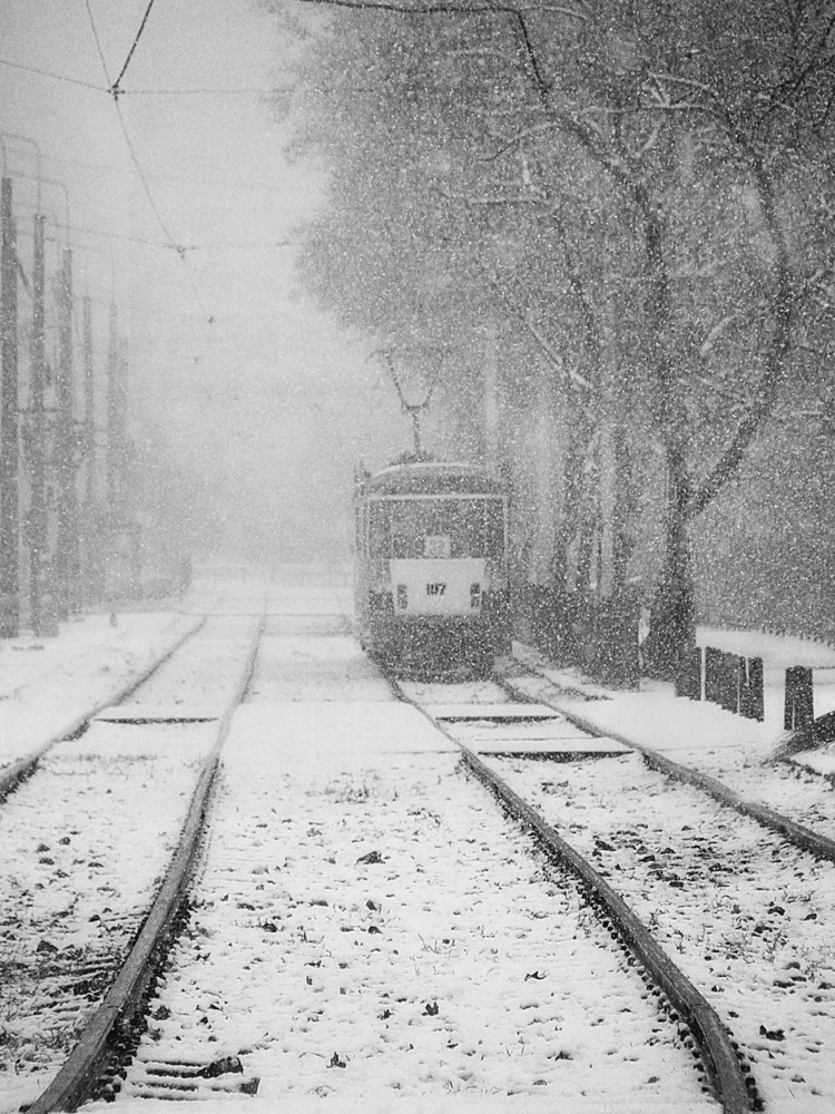winter passengers von Nicoleta Gabor