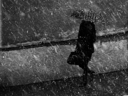 winter passengers. the shield