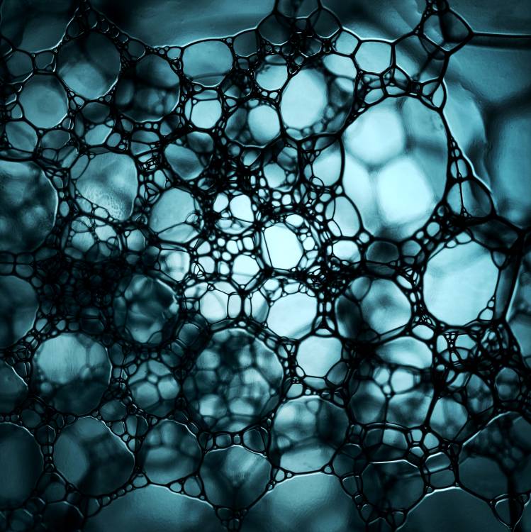 S O A P von Niels Christian Wulff