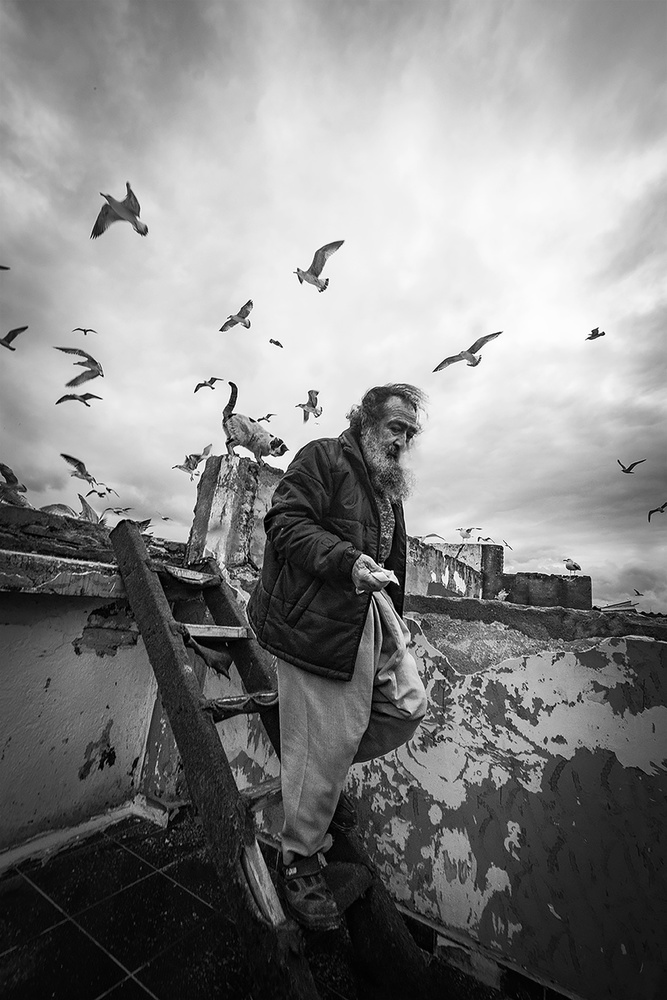 Man feeding seagulls von Nihal Eken