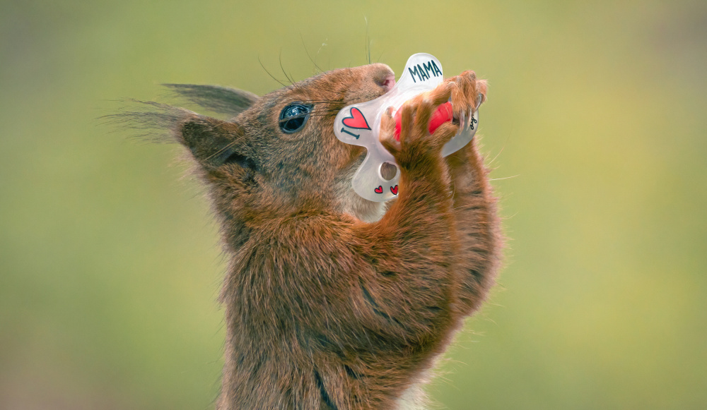 I Love My Mama von Niki Colemont