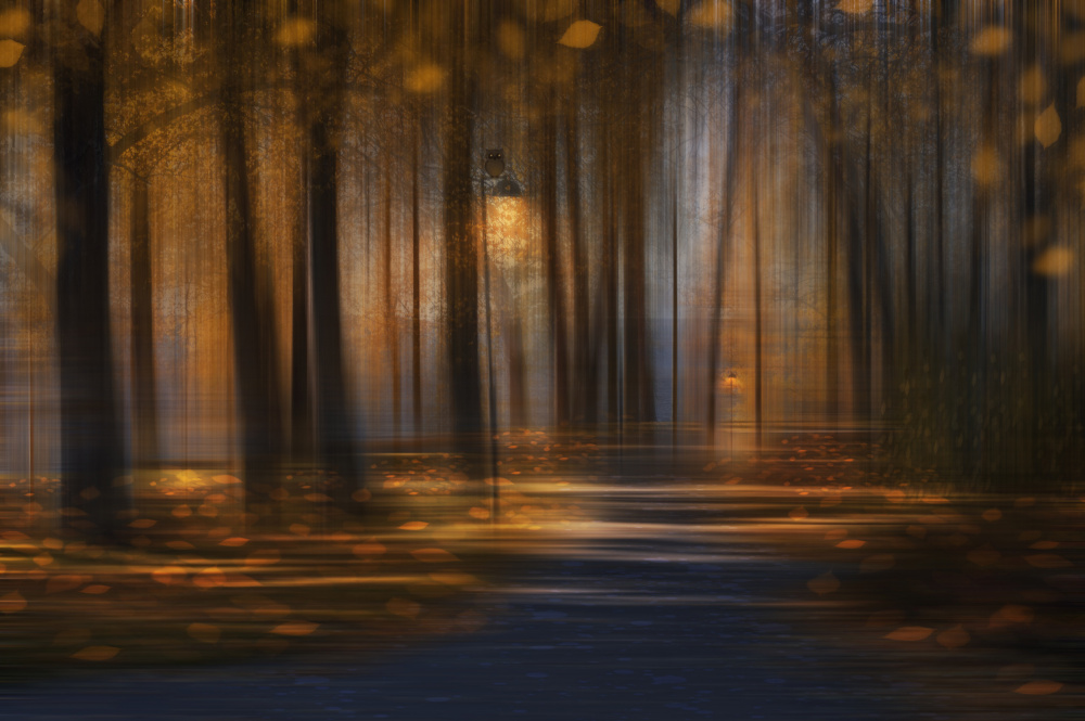 Halloween is coming soon... von Nikki Georgieva V E G A N I K