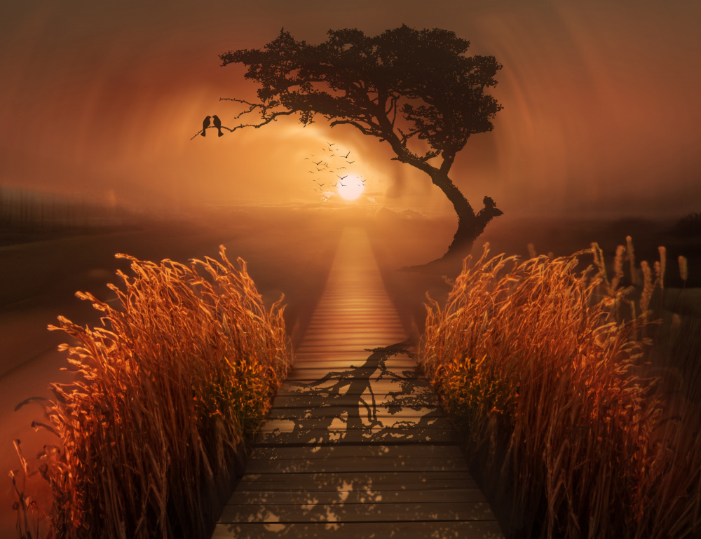 ...farewell... von Nikki Georgieva V E G A N I K