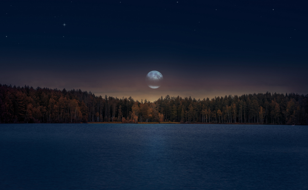 ...Moonrise... von Nikki Georgieva V E G A N I K