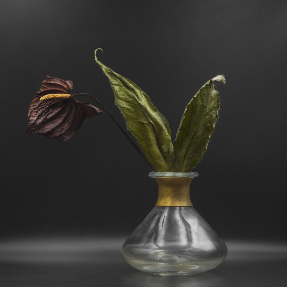 ...dry von Nikki Georgieva V E G A N I K