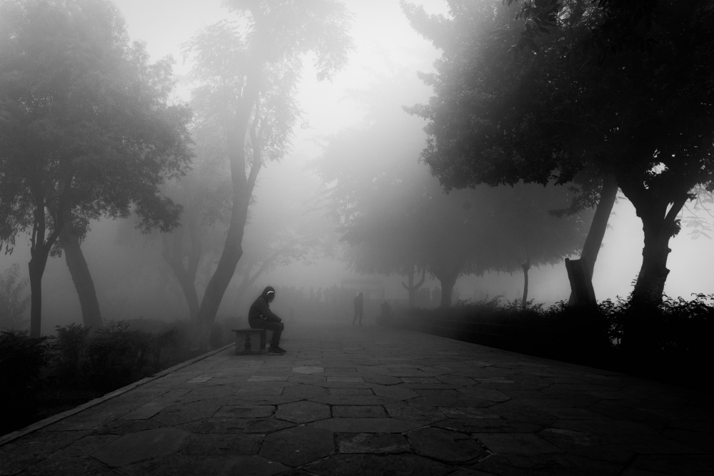 The Fog von Nilendu Banerjee