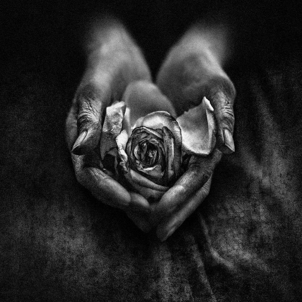 Fürsorgliche Hände von nima.zadshir