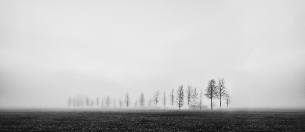 Autumn mood... von Nina Pauli