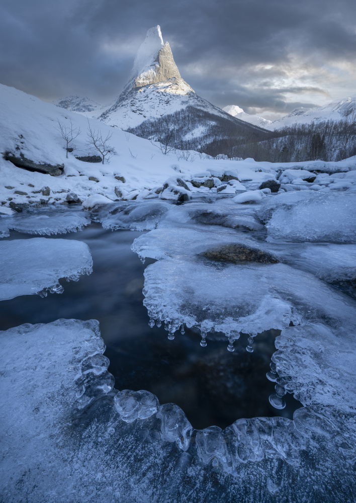 King of the North von Nina Pauli