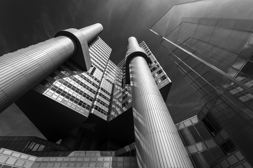 Convergence von Nina Pauli