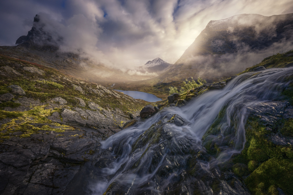 Place of fairies and trolls IV von Nina Pauli