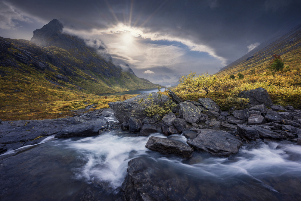 Place of fairies and trolls VI von Nina Pauli