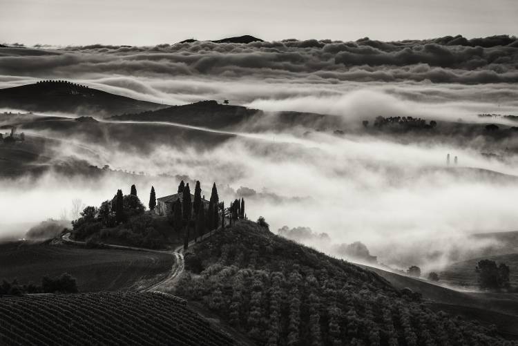 Tuscany von Nina Pauli