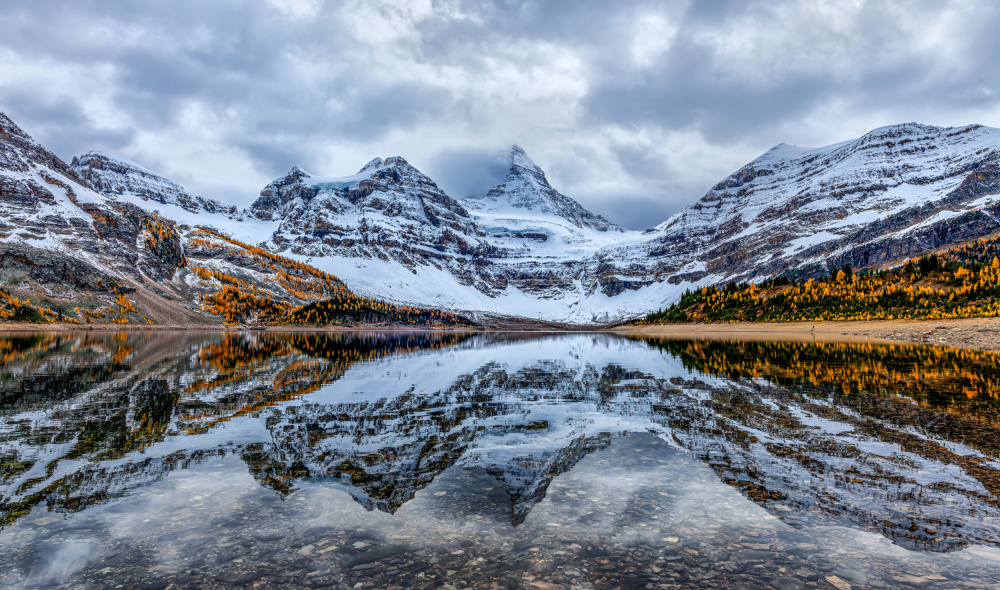 Assiniboine reflection von Ning Lin