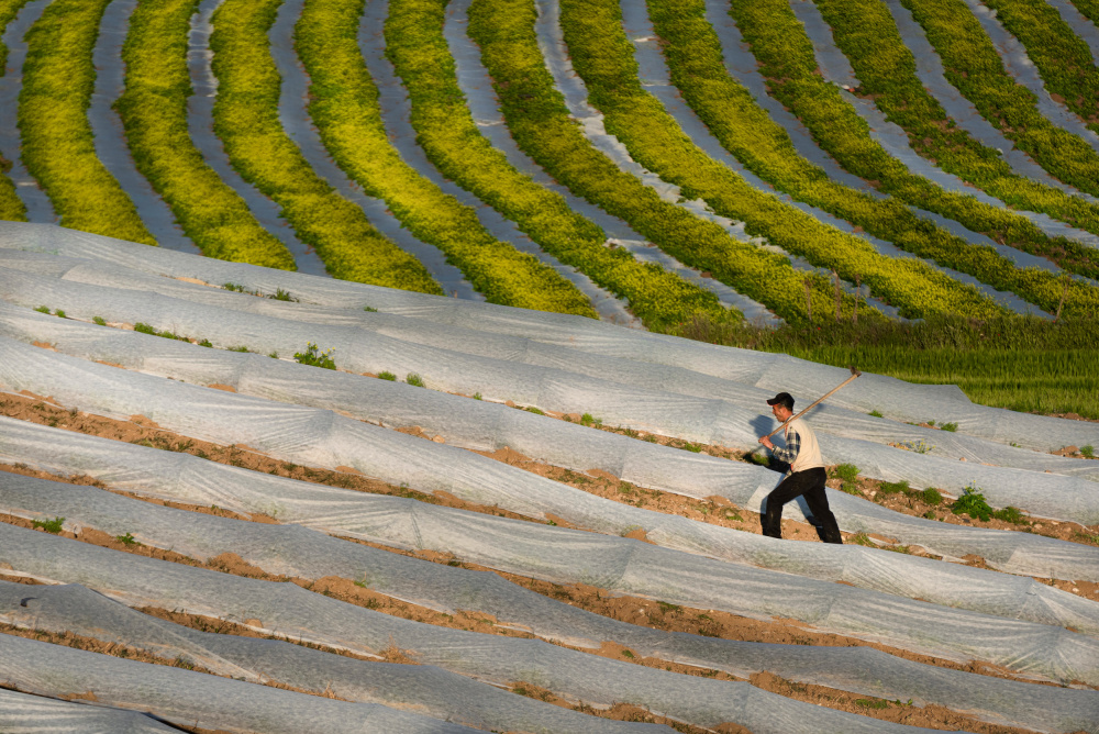 Farmer von Niyazi Gürgen