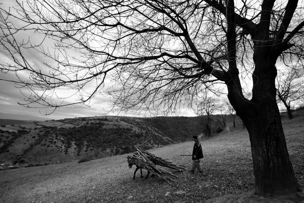 Ready for Winter von Niyazi Gürgen