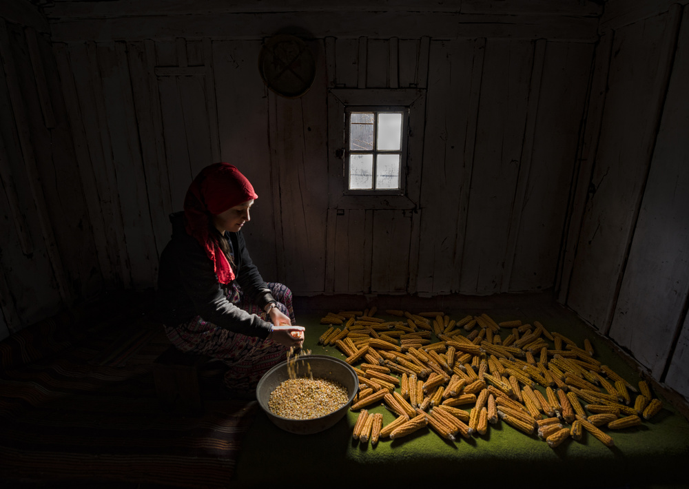 Delicious Light von Niyazi Gürgen