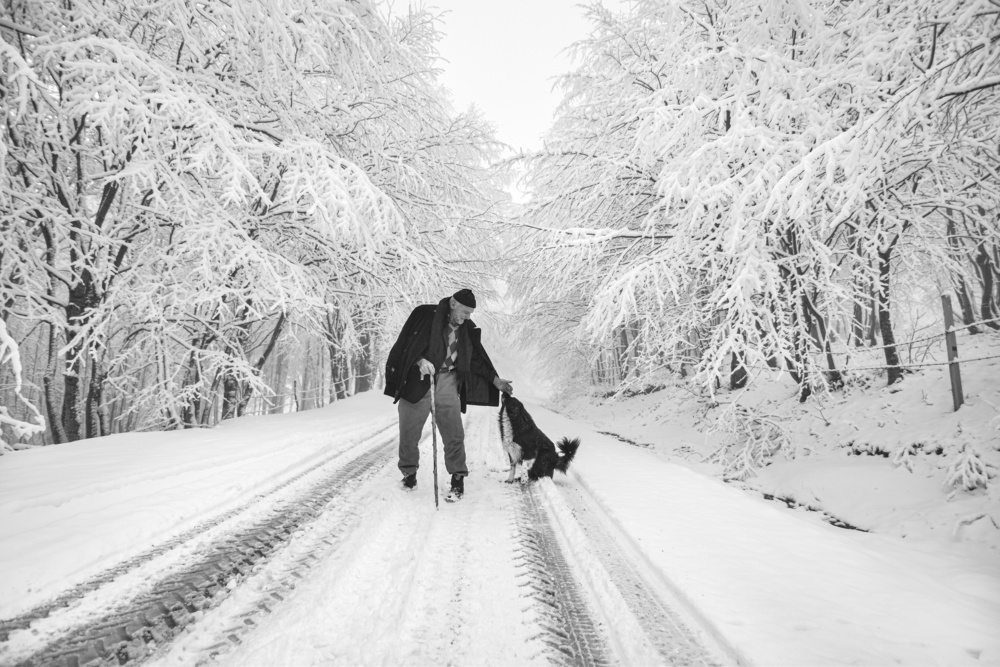 His Best Friend von Niyazi Gürgen