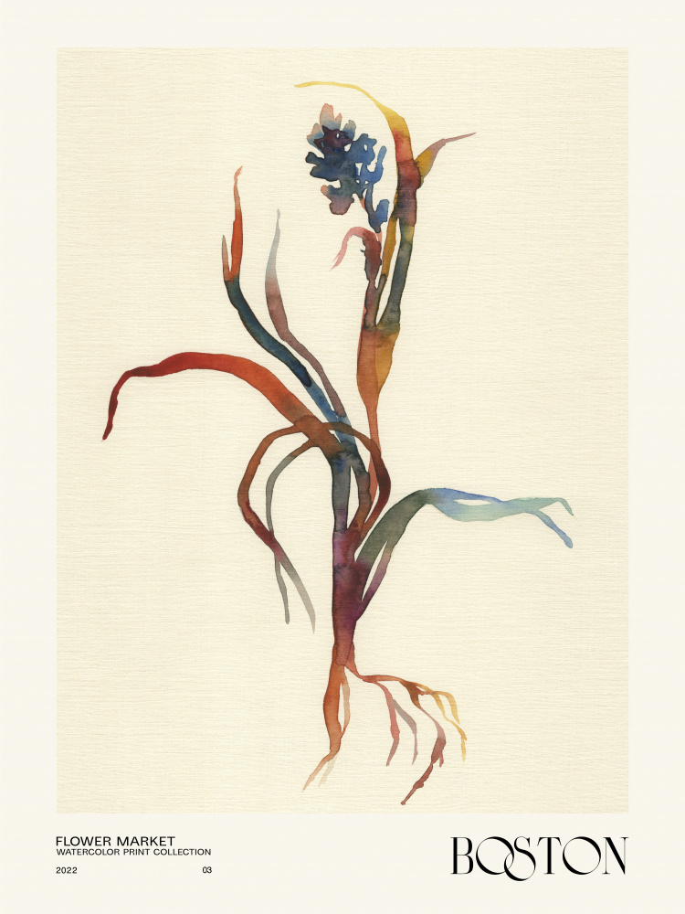 Watercolor print collection. Flower market - Boston von NKTN