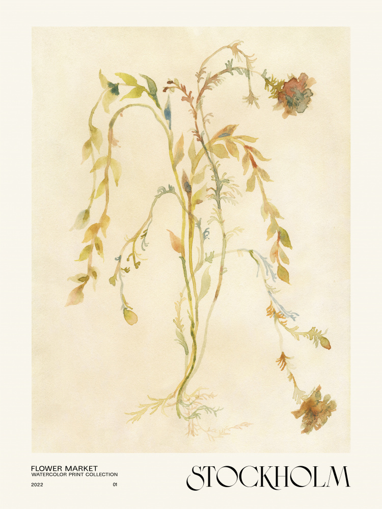 Watercolor print collection. Flower market - Stockholm von NKTN