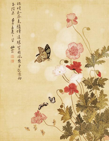 Corn Poppy And Butterflies von 