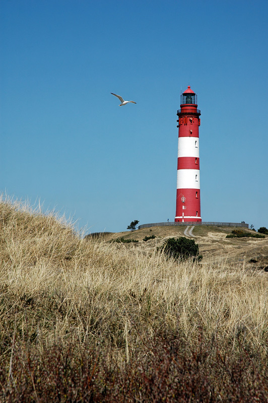 Leuchtturm Amrum von 