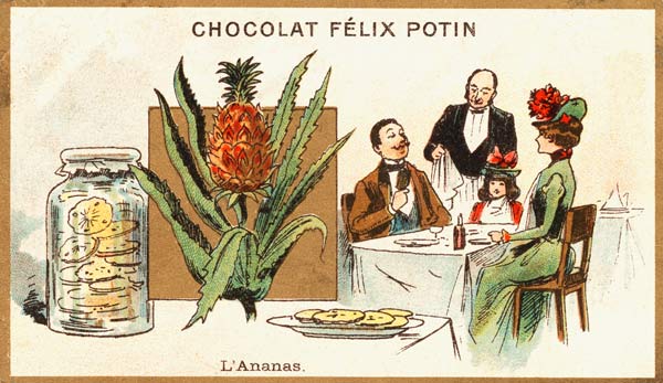 Ananas / Sammelbildchen von 