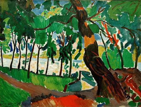 Tree, landscape on river bank