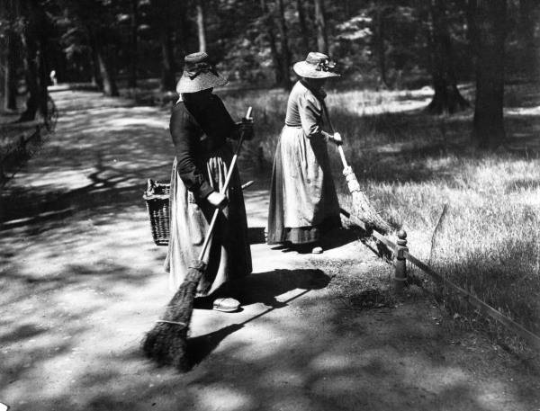 Berlin,Tiergarten,Kieferspinnerraupen von 