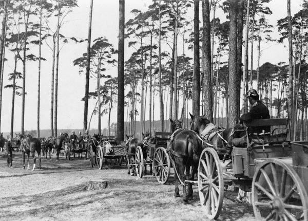 Bespannung e.Maschinengewehrabteilung von 