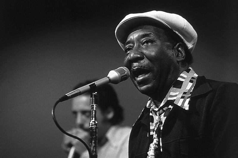 bluesman Muddy Waters on stage von 