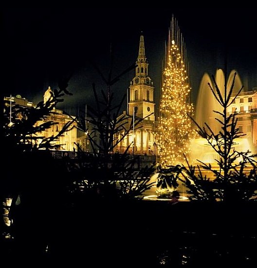 Christmas tree in Trafalgar Square at night von 