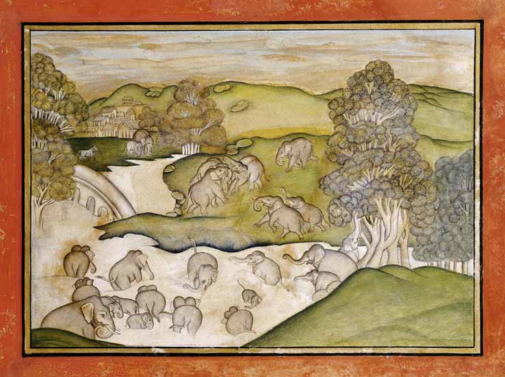 Elephants Bathing von 