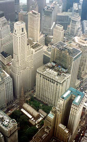 Großstadtdschungel von 