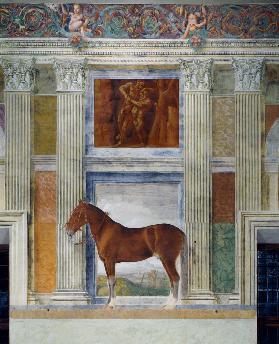 Mantua, Palazzo del Te, Sala dei Cavalli
